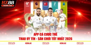 App Cá Cược Thể Thao Uy Tín - Sân Chơi Tốt Nhất 2026