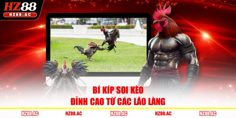 Bí kíp soi kèo đỉnh cao từ các lão làng