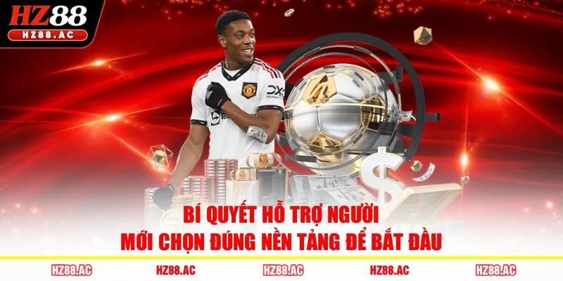 Bí quyết hỗ trợ người mới chọn đúng nền tảng để bắt đầu