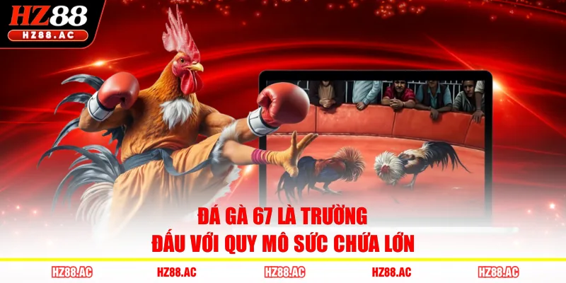 Đá gà 67 là trường đấu với quy mô sức chứa lớn