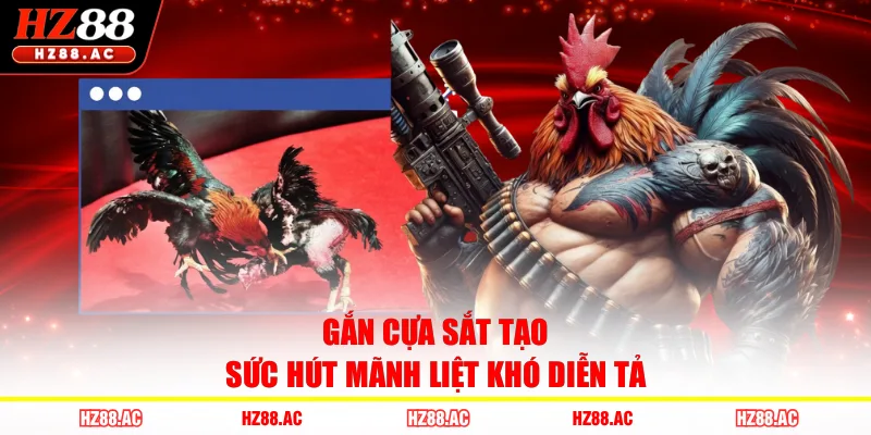 Gắn cựa sắt tạo sức hút mãnh liệt khó diễn tả 
