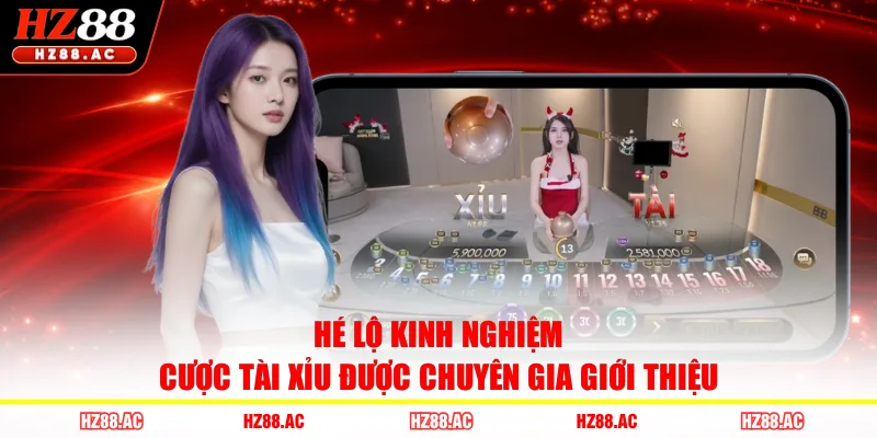 Hé lộ kinh nghiệm cược Tài Xỉu được chuyên gia giới thiệu