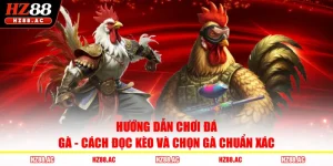 Hướng Dẫn Chơi Đá Gà - Cách Đọc Kèo Và Chọn Gà Chuẩn Xác