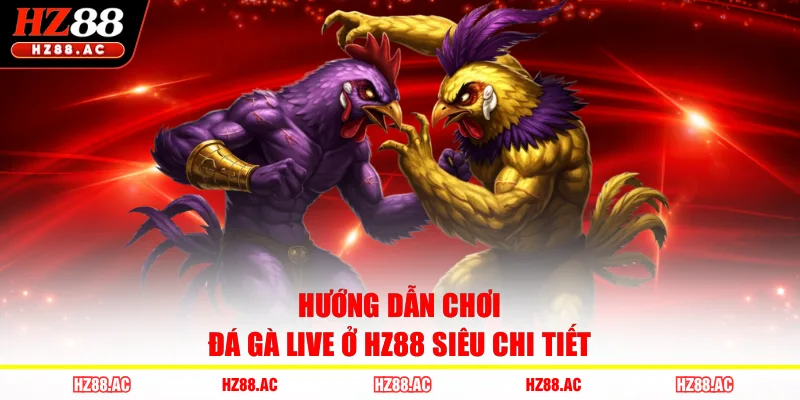 Hướng dẫn chơi đá gà live ở HZ88 siêu chi tiết