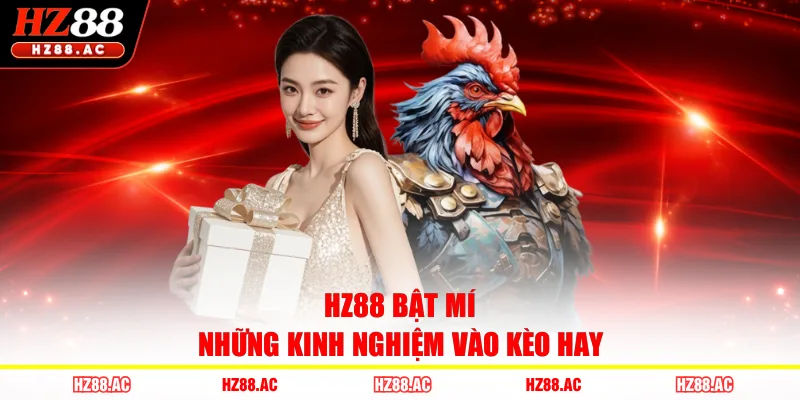 HZ88 bật mí những kinh nghiệm vào kèo hay