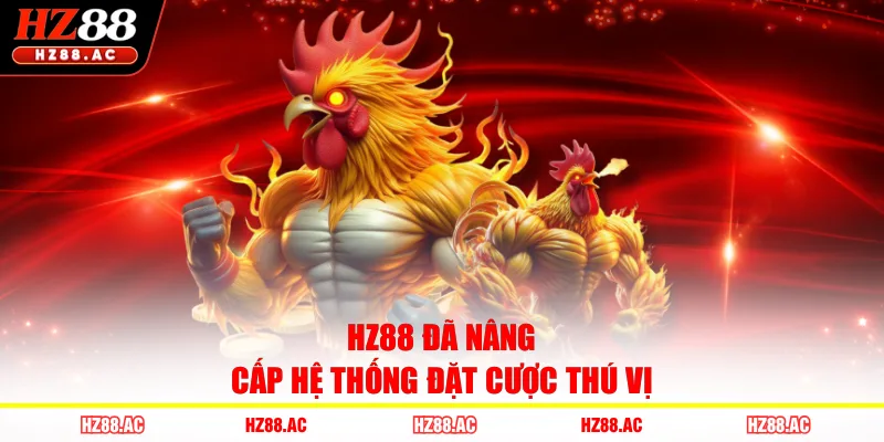 HZ88 đã nâng cấp hệ thống đặt cược thú vị