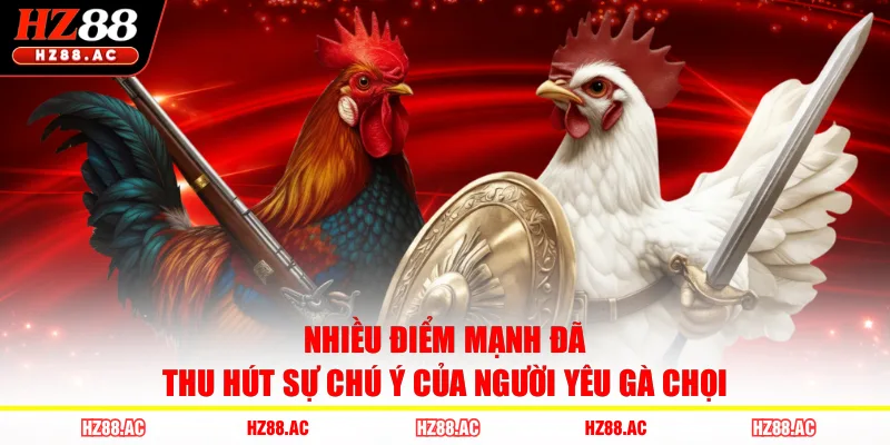 Nhiều điểm mạnh đã thu hút sự chú ý của người yêu gà chọi