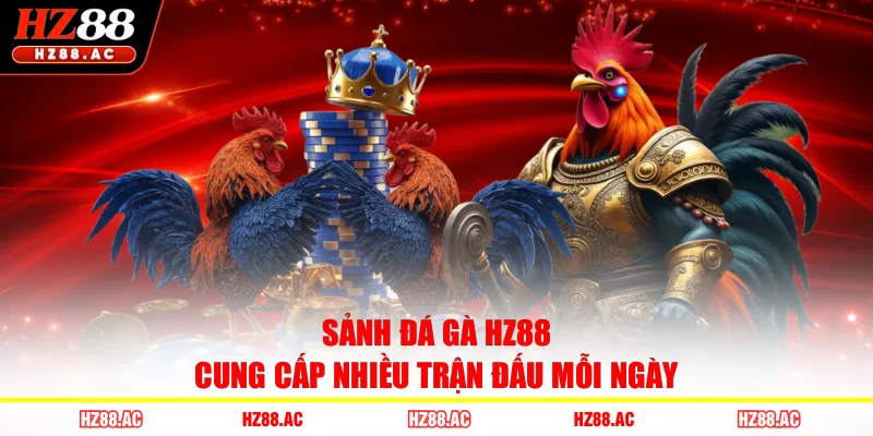 Sảnh đá gà HZ88 cung cấp nhiều trận đấu mỗi ngày
