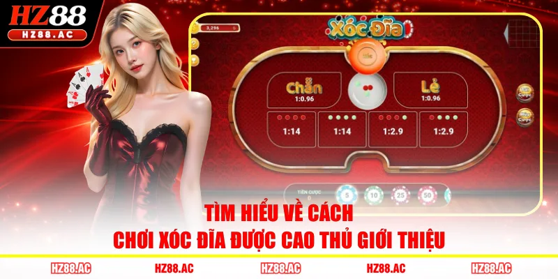 Tìm hiểu về cách chơi Xóc Đĩa được cao thủ giới thiệu